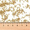 Cylinder Seed Beads SEED-H001-C05-3