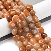 Natural Red Aventurine Beads Strands G-G146-A02-02-2