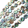 Natural Abalone Shell/Paua Shell Beads SSHEL-BC0001-09-1