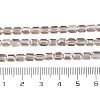 Electroplate Glass Beads Strands EGLA-D031-01X-3