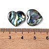 Natural Paua Shell Epoxy Resin Cabochons SSHEL-S279-01D-3