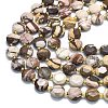 Natural Zebra Jasper Beads Strands G-C116-A100-01-3