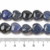 Natural Dumortierite Beads Strands G-H005-C15-02-5