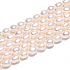 Natural Cultured Freshwater Pearl Beads Strands PEAR-N012-05X-01-5