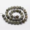 Natural Labradorite Bead Strands G-O155-05B-10mm-2