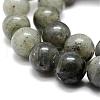 Natural Labradorite Bead Strands G-P256-01-10mm-3