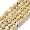 Natural Trochus Shell Beads Strands BSHE-P033-03B-1