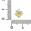 S925 Sterling Silver with Cubic Zirconia Charms STER-Q006-05A-S-3