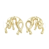 Rack Plating Brass Stud Earring EJEW-C081-26G-2