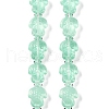 Transparent Glass Enamel Beads Strands GLAA-B021-06E-1