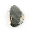 Nuggets Natural Ocean Jasper Pendants G-R275-166-2