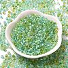 Transparent Glass Round Seed Beads SEED-B001-05A-10-2