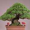 Resin Miniature Luminous Mushroom Ornaments AJEW-WH0326-72-7