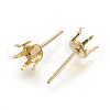 304 Stainless Steel Stud Earring Findings STAS-P221-20F-G-2