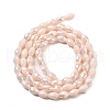 Electroplate Glass Beads Strands EGLA-A037-P6x8mm-B02-2