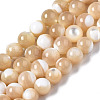 Natural Trochid Shell/Trochus Shell Beads Strands SSHEL-S266-023B-02-1