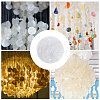 DICOSMETIC 150Pcs Natural Shell Slice Connector Charms SSHEL-DC0001-03-6