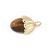 Natural Tiger Eye Pendants KK-Z107-02G-02-2