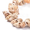 Unisex Natural Spiral Shell Stretch Bracelets BJEW-K220-01-3