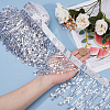 10M Paillette Tassel Ribbon Trim OCOR-WH0078-162B-3