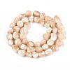Natural Trochid Shell/Trochus Shell Beads Strands SSHEL-N040-13-2