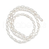 Electroplated Shell Pearl Beads Strands BSHE-Z009-10A-3