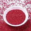 MIYUKI Delica Beads SEED-X0054-DB0214-1