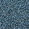 MIYUKI Delica Beads X-SEED-J020-DB2316-3