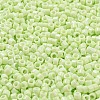 Baking Paint Glass Seed Beads SEED-S042-05A-19-3