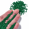Glass Seed Beads SEED-S060-A-F280-4