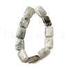 Natural Labradorite Beads Strands G-S386-A03-3