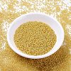 MIYUKI Delica Beads SEED-X0054-DB2041-2