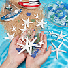  Starfish/Sea Star Opaque Resin Sea Animal Decoden Cabochons RESI-NB0002-06-3