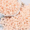 Opaque Colours Luster Glass Seed Beads SEED-P008-01C-14-1