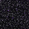 Transparent Colours Glass Seed Beads X1-SEED-P006-02A-12-3