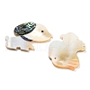 Natural Freshwater Shell & Paua Shell & Natural White Shell Pendants BSHE-G034-02-2