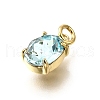 Brass Glass Charms KK-V011-33G-2