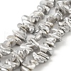 Electroplated Shell Pearl Beads Strands BSHE-M036-01B-1