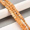 Natural Dolomite Beads Strands G-F765-G07-01-2