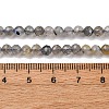 Natural Labradorite Beads Strands G-RM250104-E3-3