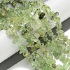Natural Prehnite Beads Strands G-P332-41A-5