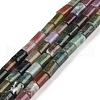 Natural Indian Agate Beads Strands G-C128-A14-01-2