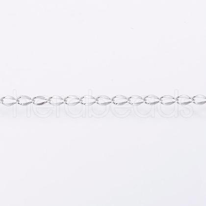 304 Stainless Steel Twisted Chains CHS-H007-61A-1