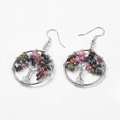 Natural Tourmaline Dangle Earrings EJEW-P136-B04-1