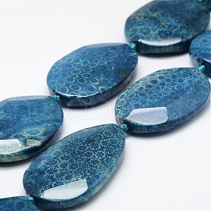 Natural Fossil Coral Beads Strands G-K180-F04-1