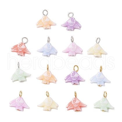 Craft Style Acrylic Fish Shape Pendants PALLOY-JF03923-1