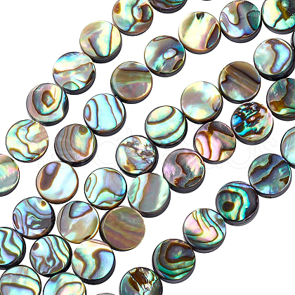 Natural Abalone Shell/Paua Shell Beads SSHEL-BC0001-09-1