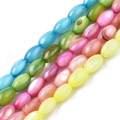 Freshwater Shell Beads Strands SHEL-T009-B15-1