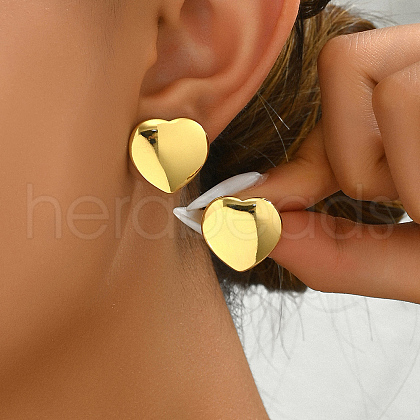 Geometric Earrings Stainless Steel Women's Daily Party Jewelry LP1702-4-1