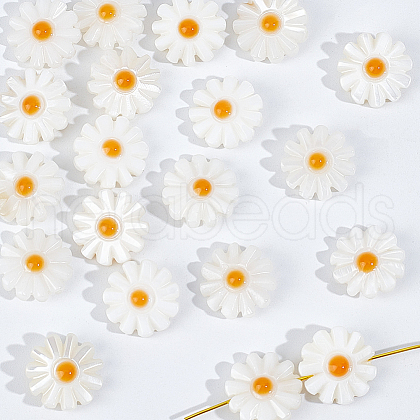  20Pcs Natural Freshwater Shell Beads SHEL-NB0001-65B-1